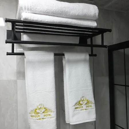 Hotel Ankuva 4*