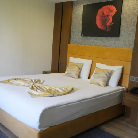 Hotel Ankuva