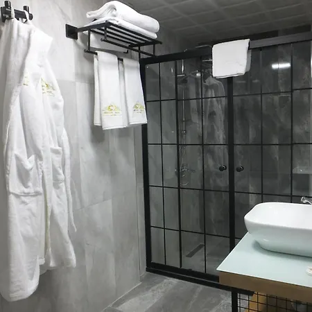 Otel Ankuva 4*